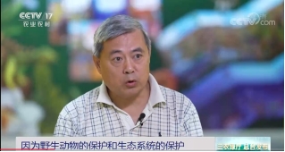伟德国际victor1946