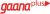 Gaana + 3 Month Subscription For Rs.2 only