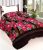 Bed Sheets At Rs.99